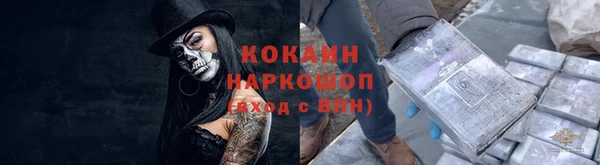 индика Красноперекопск