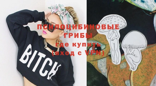 индика Красноперекопск