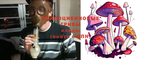 индика Красноперекопск