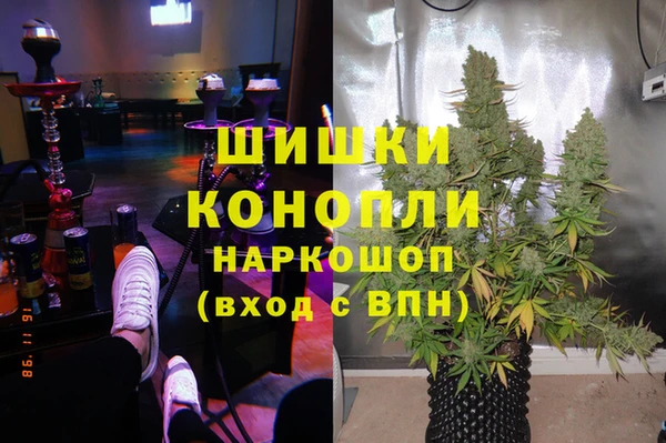 индика Красноперекопск