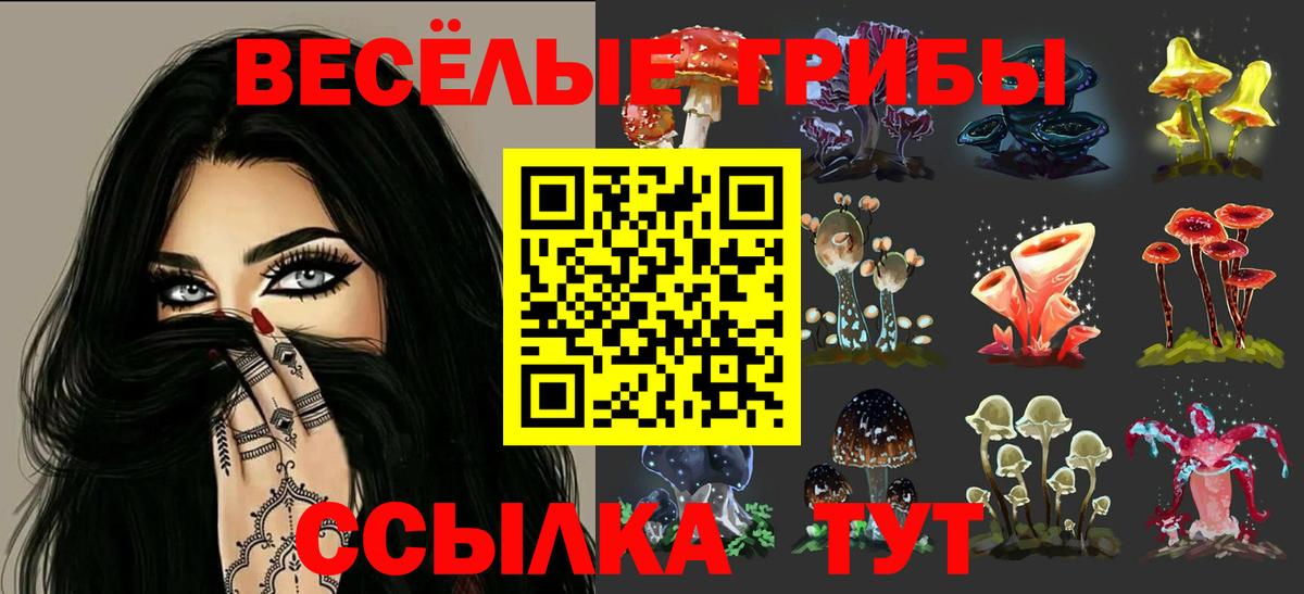 Галлюциногенные грибы Psilocybe  Псилоцибиновые грибы Cubensis  Мыски  Вход с VPN 