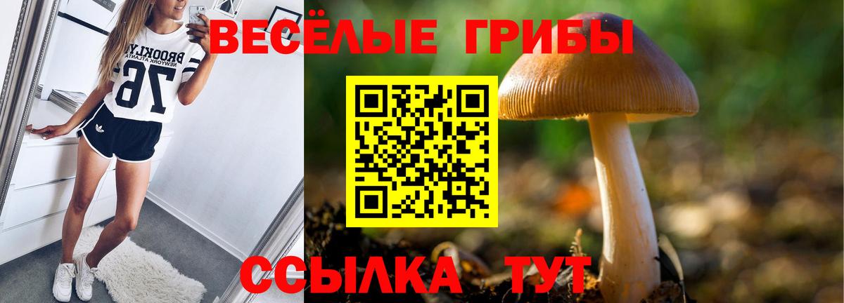 Псилоцибиновые грибы прущие грибы Мыски