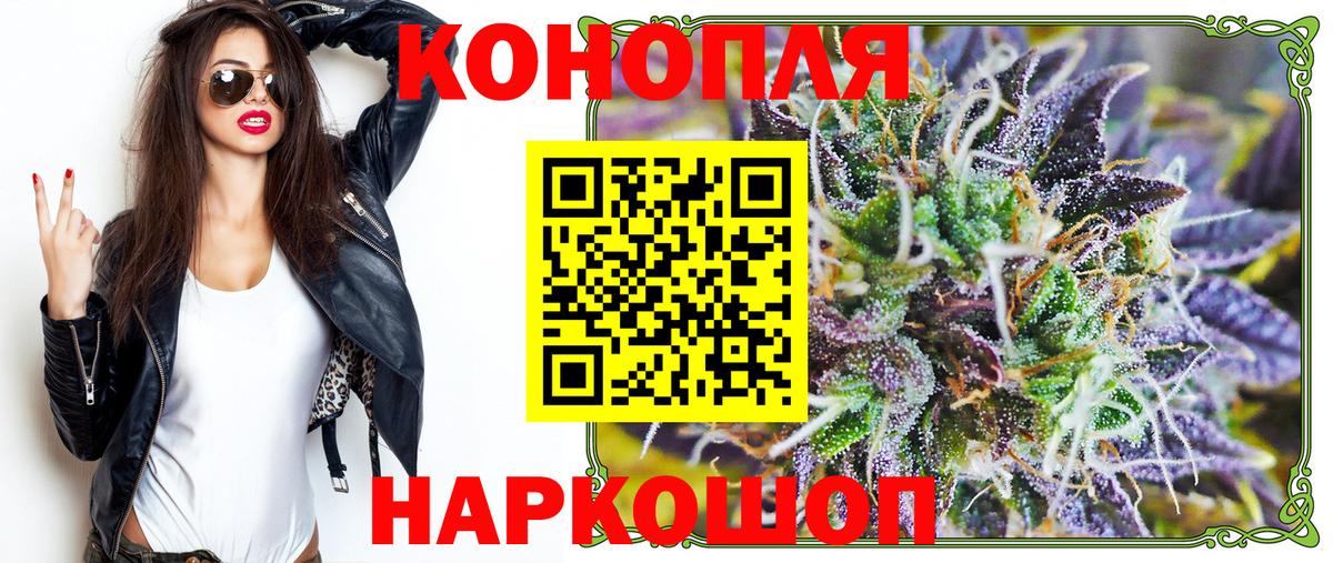 Бошки марихуана конопля Мыски